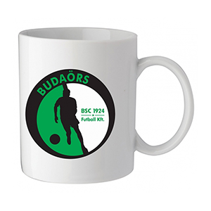 BUDAÖRS SC BSC - ZICCER BÖGRE